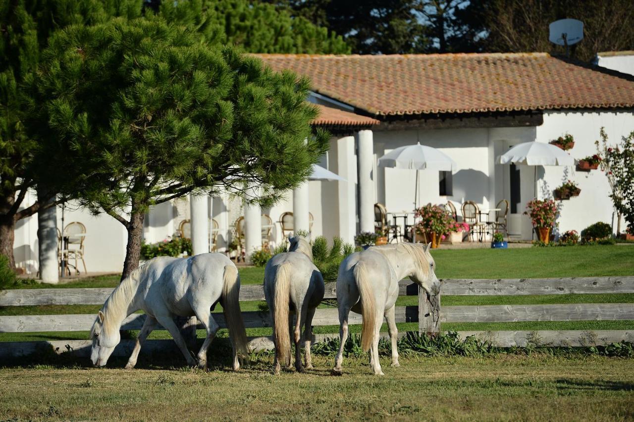 Mas De La Grenouillere Hotel Et Centre Equestre En Pleine Nature Saintes-Maries-de-la-Mer Exterior photo